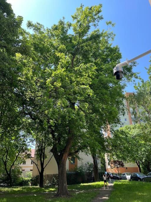 City Park Little Flat. Βουδαπέστη Εξωτερικό φωτογραφία
